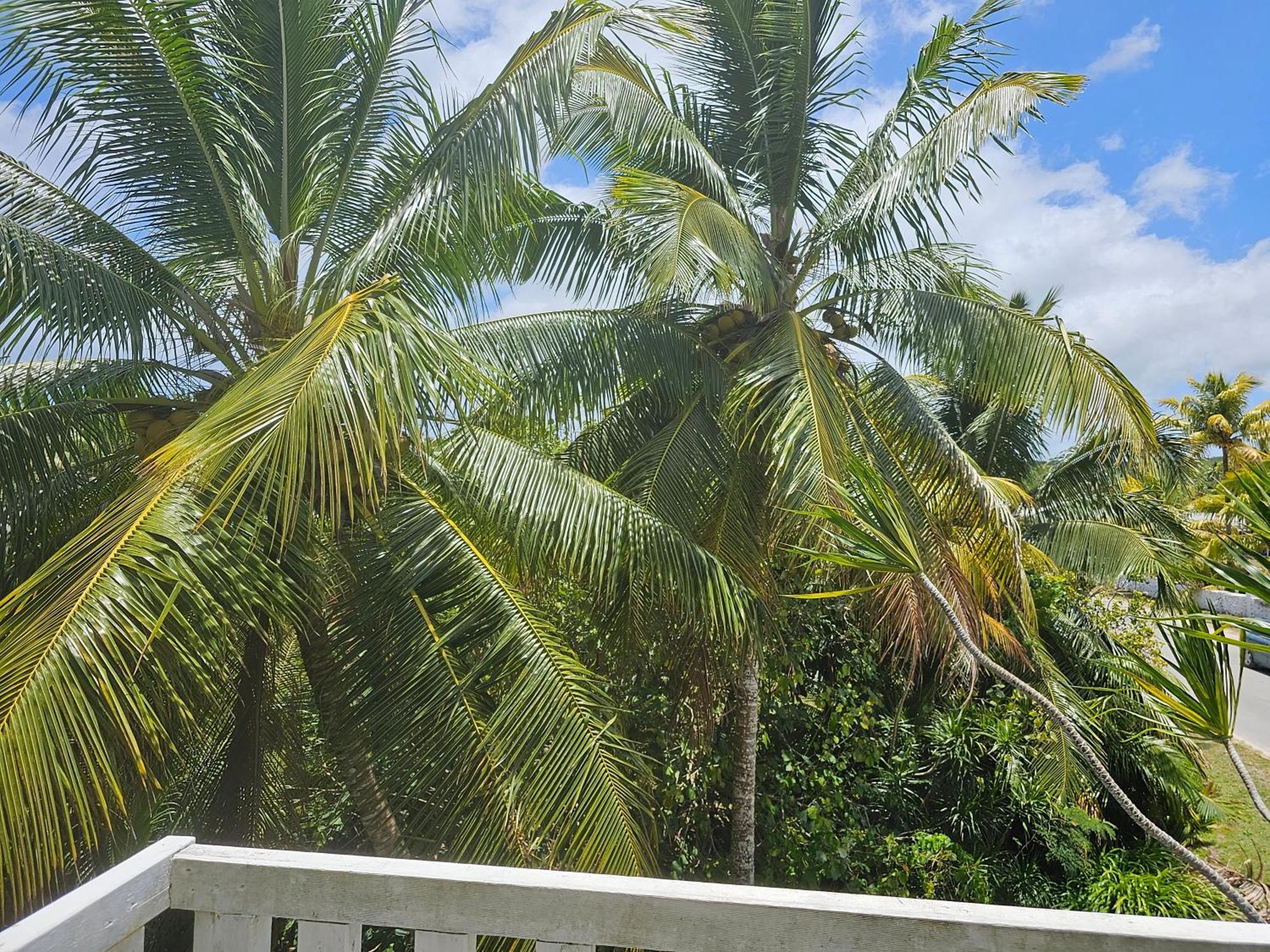 Villa Heleni Jessop'S Fatahega Alofi Esterno foto